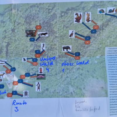 20260815 Turnier 50 Jahre Bsco 02